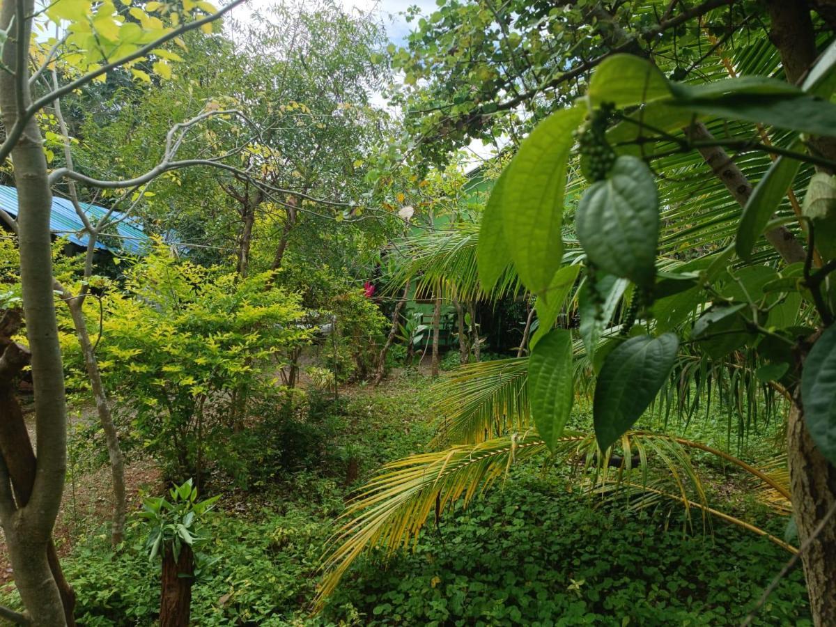 Forest Villa Nature Resort 아누라다푸라 외부 사진