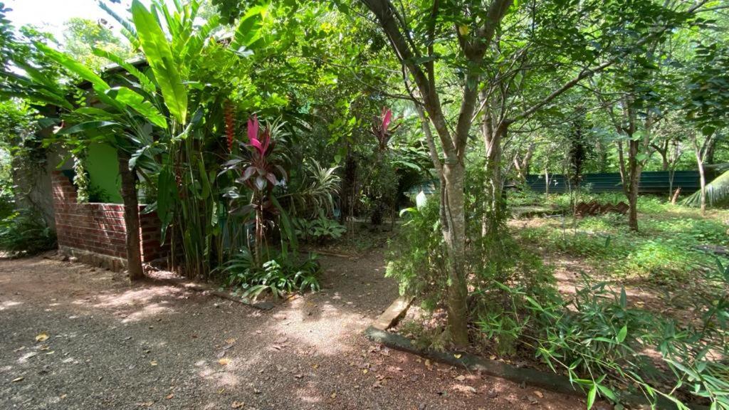 Forest Villa Nature Resort 아누라다푸라 외부 사진