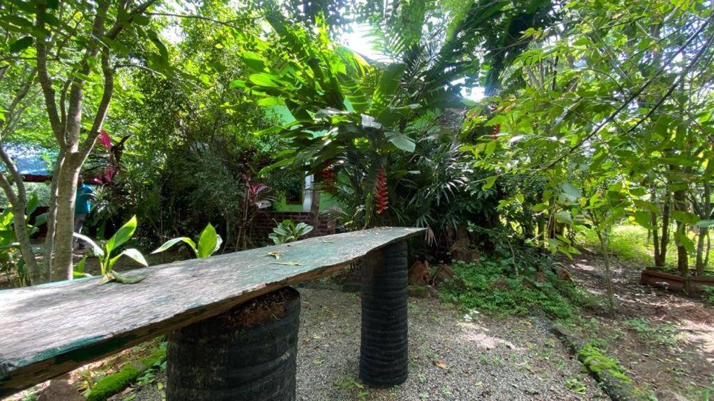Forest Villa Nature Resort 아누라다푸라 외부 사진