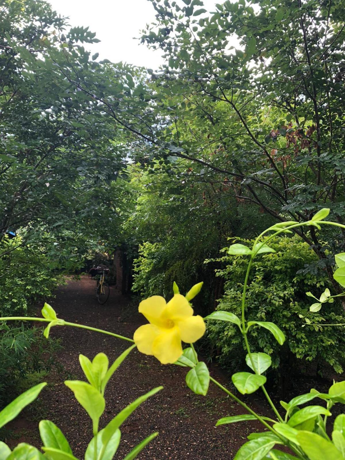 Forest Villa Nature Resort 아누라다푸라 외부 사진