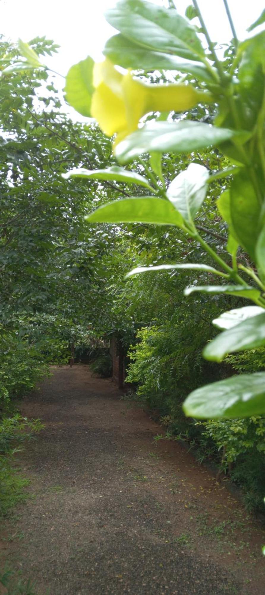 Forest Villa Nature Resort 아누라다푸라 외부 사진