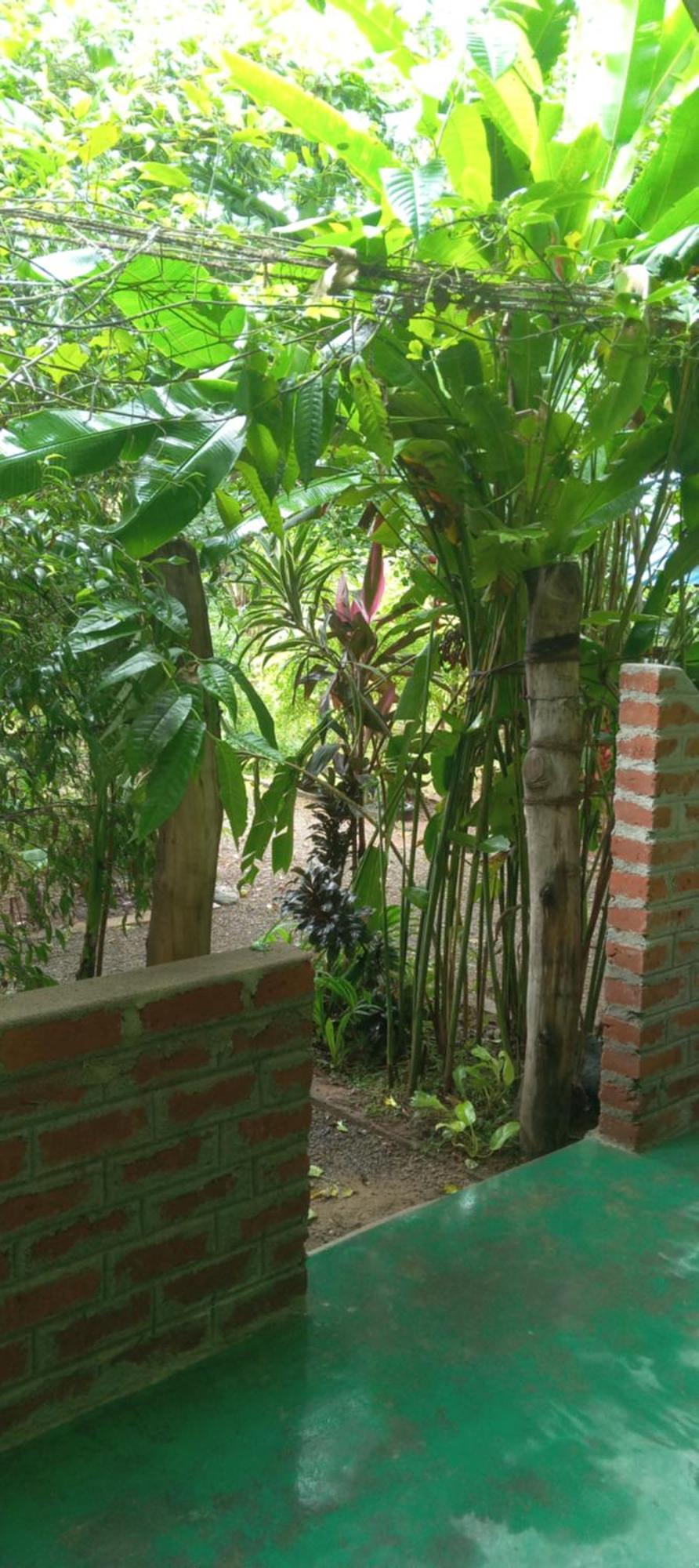 Forest Villa Nature Resort 아누라다푸라 외부 사진