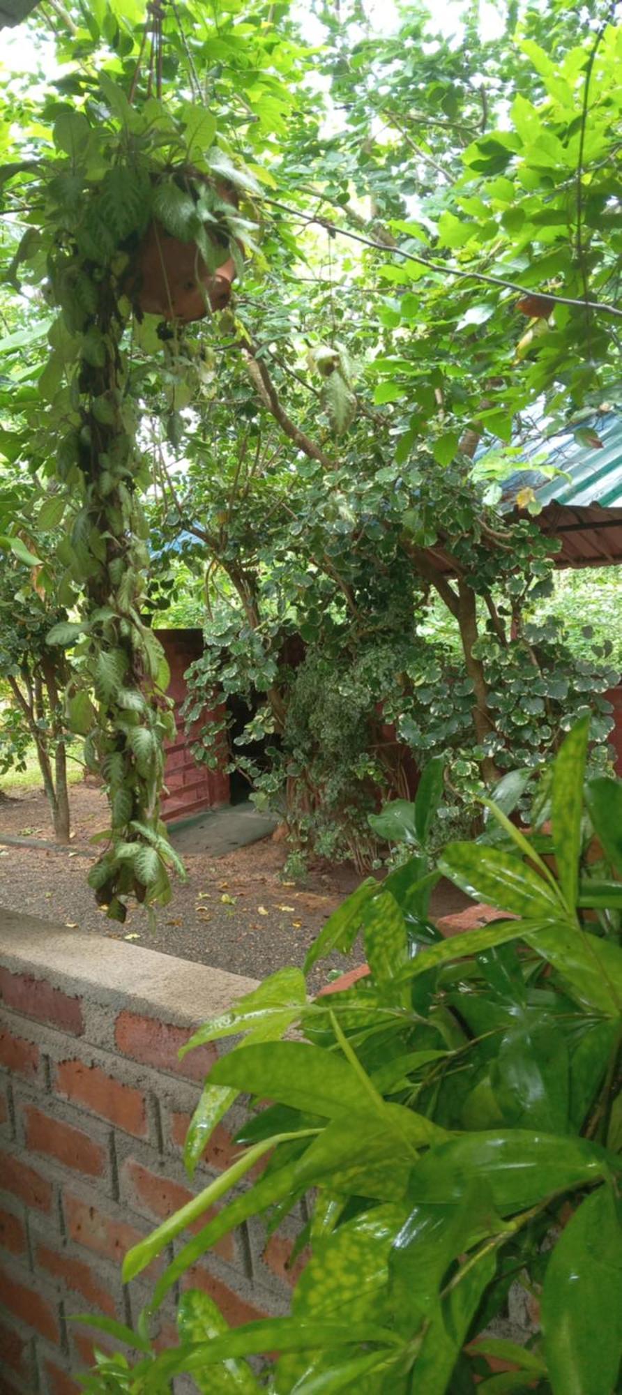 Forest Villa Nature Resort 아누라다푸라 외부 사진