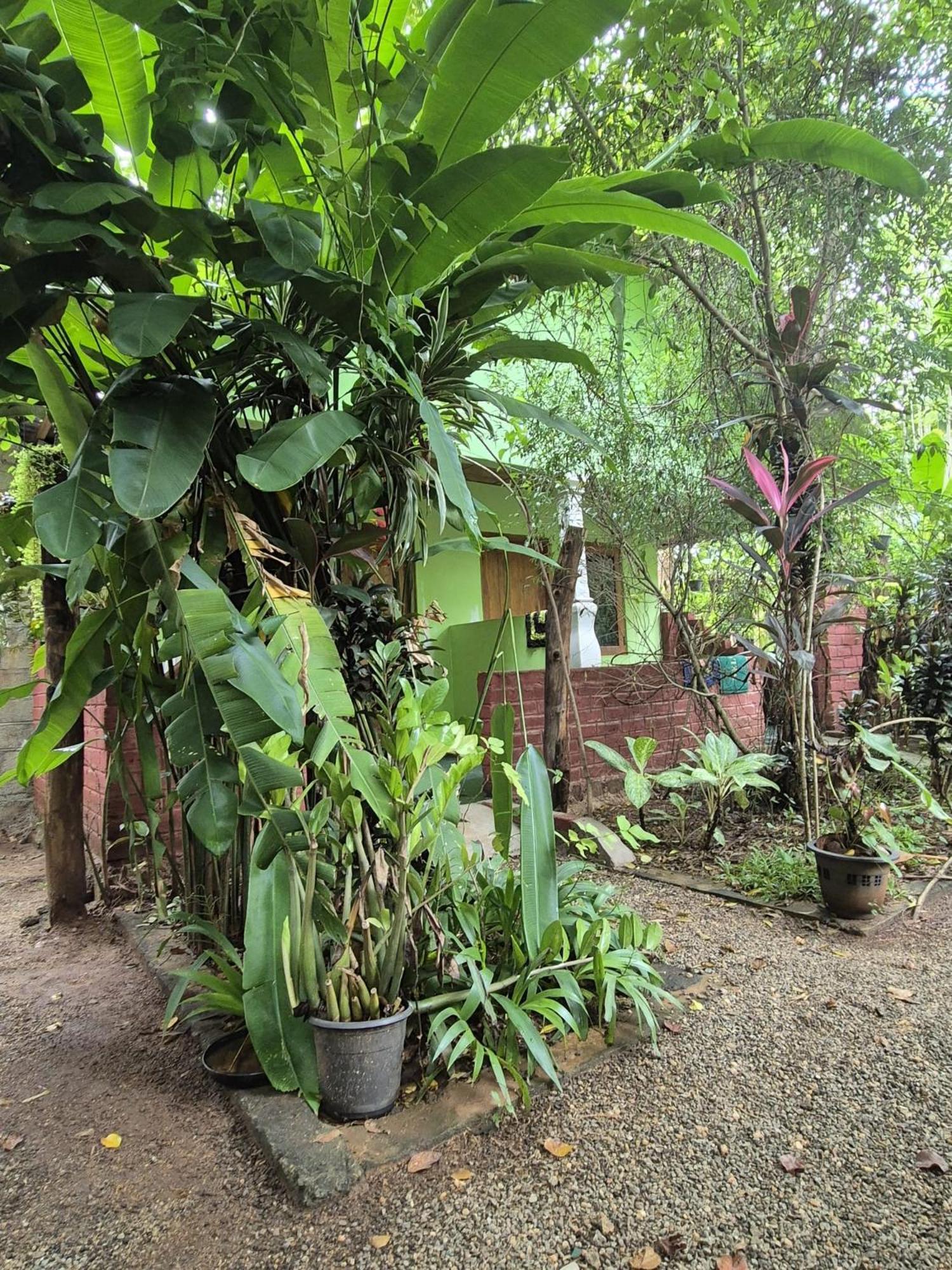 Forest Villa Nature Resort 아누라다푸라 외부 사진
